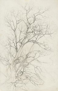 Árbol, 1866